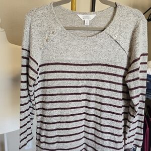 Market & Spruce Gray and Burgundy Striped Sweater